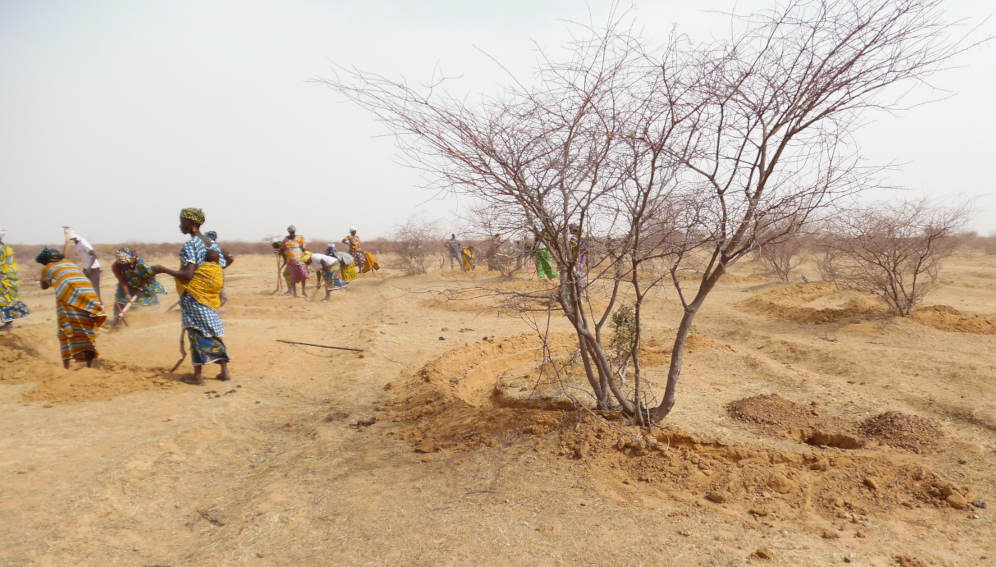 Planting trees to combat desertification with water harvesting ditch, Dori, Burkina Faso. Credit: Jean-Louis Couture