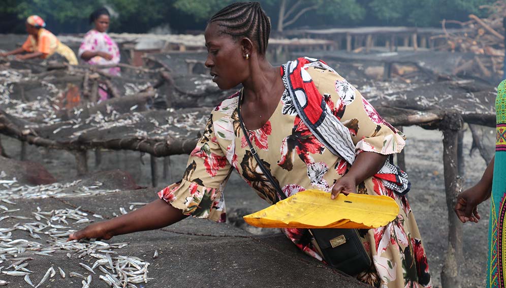 A woman spreading dagaa fish on a metal drying rack at a beach on the shores of Lake Victoria in Tanzania. Copyright: WorldFish