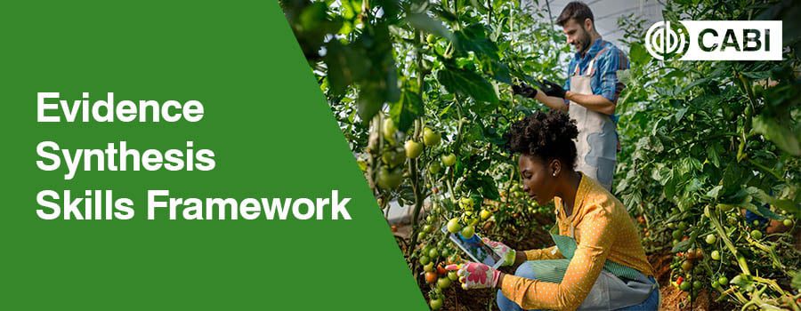 Evidence Synthesis Skills Framework_Digital AdsEmail_1