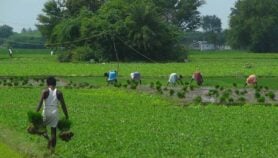 India’s AI monsoon predictions ‘inspire investment’