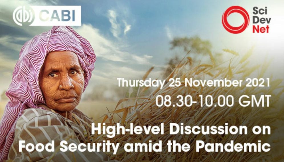 High level food sec - MAIN