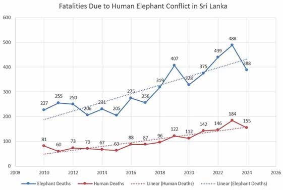 Graph showing fatalities in Human-elephant-conflict in Sri Lanka