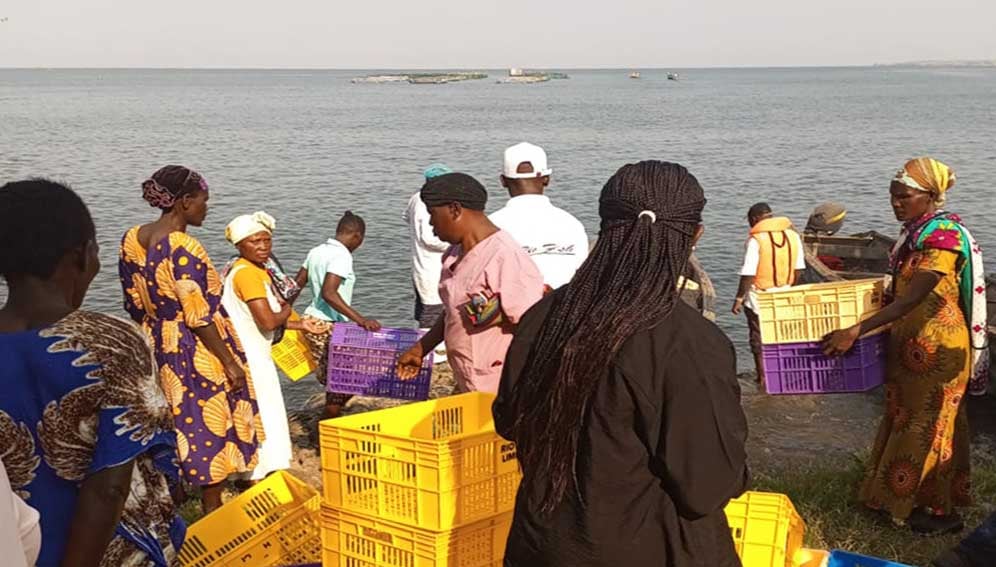 Women fish farmers and traders bargaining during the delivery of harvested fish at Rasira beach.