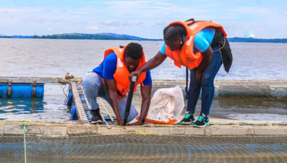 Aquarech staff installing an IoT sensor on a cage in a fish farm at Ogal beach, Kisumu Country.