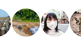 CABI One Health now open for submissions