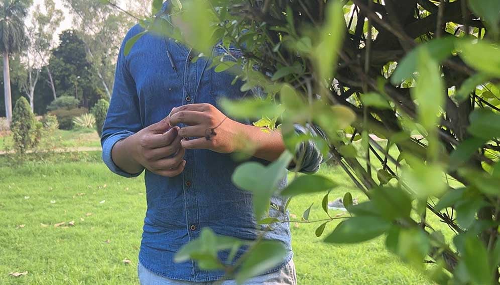 Indian transgender rights activists fear that the new Transgender Persons (Protection of Rights) Amendment Act, 2026, could make it even harder for them to access welfare schemes and essential healthcare.