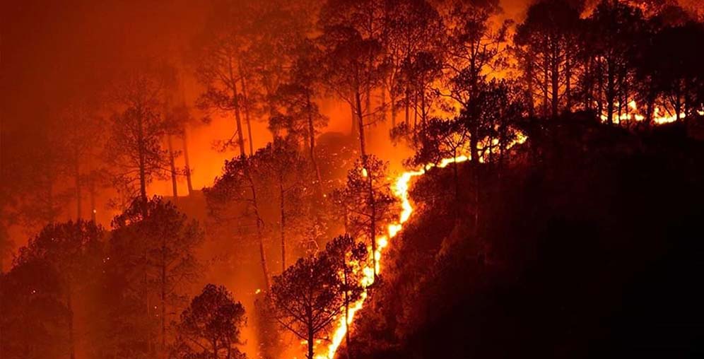 Bandipur National Park wildfire in 2019.