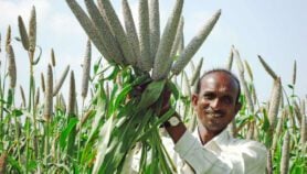 Meeting global hunger with local solutions