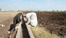 Global South farmers desperate for COP27 adaptation action