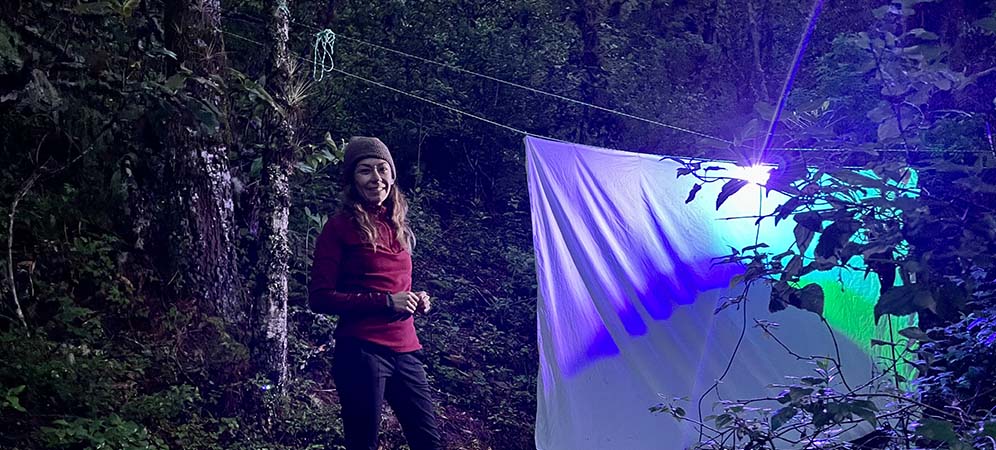 Researcher Ivonne Garzón Orduña, a curator of the national insect collection at the Autonomous University of Mexico’s Institute of Biology during one of her visits to nature reserves at night to study moths. Photo by Gaspar Moreno.