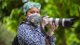 Q&A: COVID-19 impact on science journalism will have lasting effects