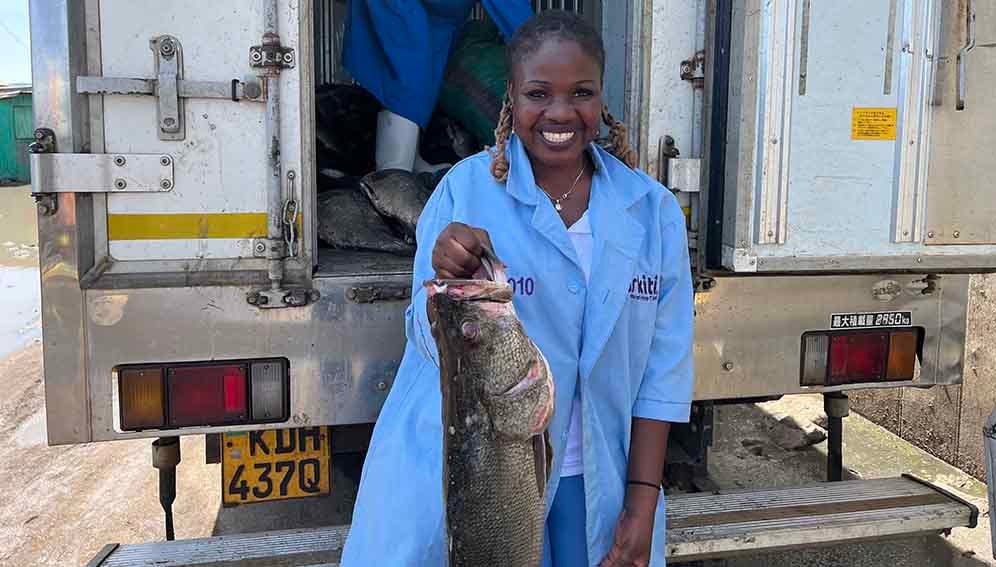 Keep It Cool fish quality control manager in Mbita _ MAIN Keep It Cool fish quality control manager Irene Onyango with large Nile perch in Mbita Town, a landing site near Homa Bay, Kenya.