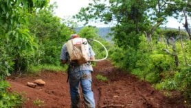 EU-banned pesticides widely used in Latin America