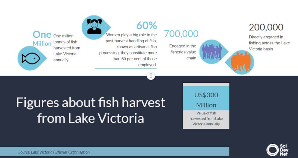 Figures about fish harvest from Lake Victoria - 'Internet of fish' empowering Lake Victoria women.