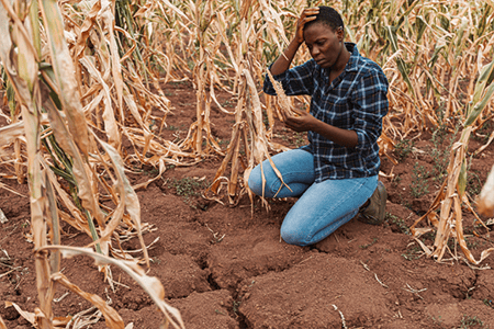 Rising temperatures pose hazards to people, crops, livestock and fish - WMO