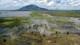 Plates and spoons to tackle malnutrition in Malawi