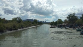 ‘Drowning’ Maldives mangroves raise conservation alarm