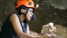 Q&A: Revealing the deep human journey