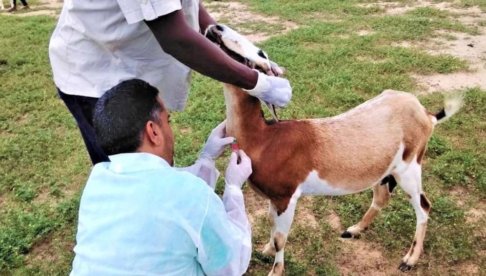 Mauritania’s new emergency response teams clear first hurdle (WHO Mauritania)