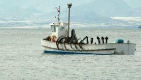 Can COP27 boost peace in fast-warming Mediterranean region?