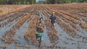 How climate change could affect half of global crops