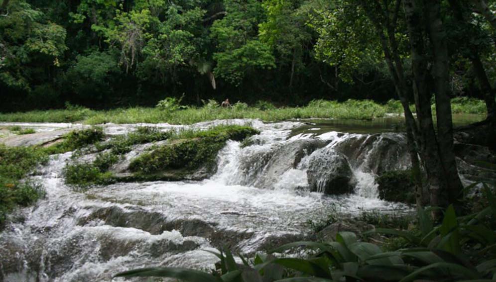 Although the Baños del San Juan River (Cuba) is located in a rural area, it is not free of microplastics, demonstrating that even areas without high human concentration also experience this type of pollution.