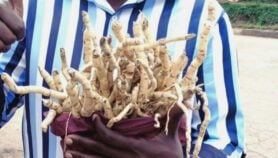 Reviving Africa’s indigenous science knowledge