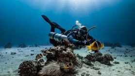 Ocean crisis demands a new kind of science