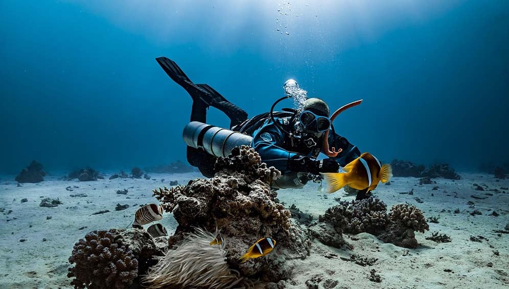 Um mergulhador examinando a vida submarina. Os oceanos do mundo estão sofrendo com a sobrepesca, o aquecimento global, a poluição, a acidificação, a desoxigenação e eventos climáticos extremos — tudo acontecendo ao mesmo tempo e, muitas vezes, interagindo. Imagem de Franziska Stier do Pixabay
