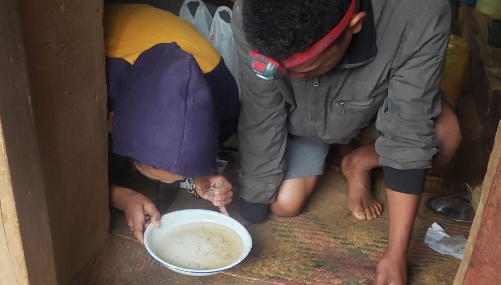 Fieldwork team collecting fleas in a flea light trap in a household. Fleas are pulled one by one from the water contained in the dish. Courtesy of Abdulrahman Olagunju