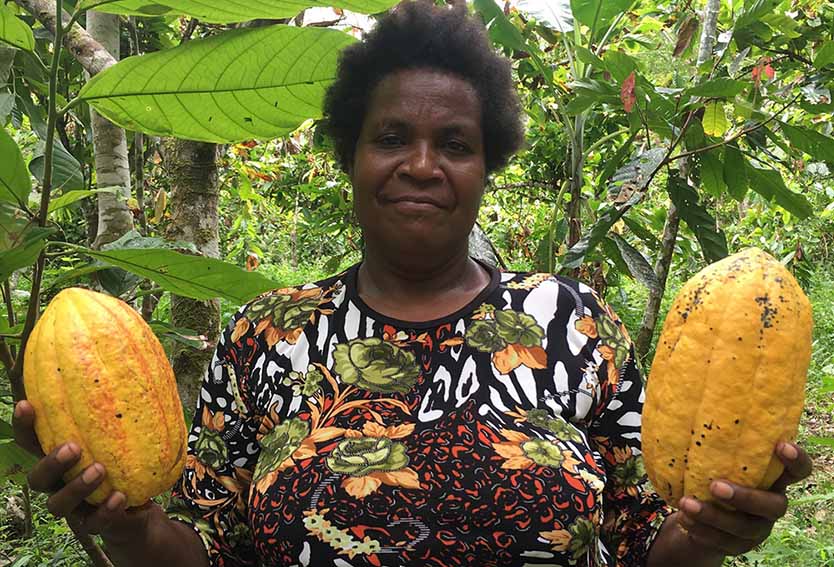 smallholder farmers in three provinces in Papua