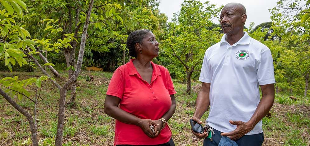 Noel Francis, from the Ministry of Agriculture in Grenada, works with a local farmer who is battling Croton Scale with assistance from CABI.