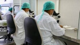 Disease-struck regions sidelined on journal boards