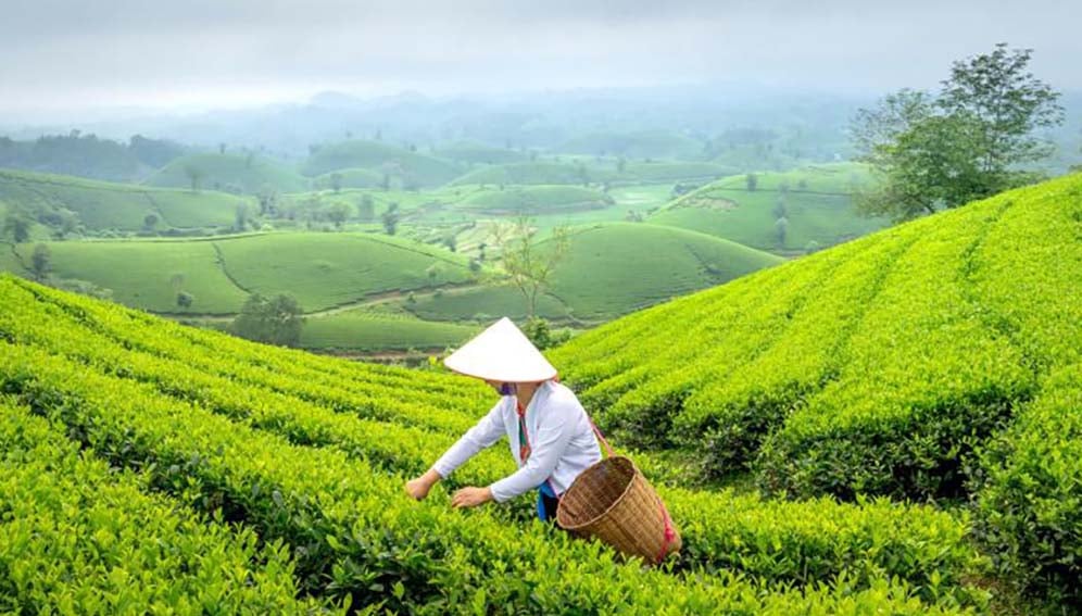 The WMO’s State of the Climate in Asia 2024 report says that 2024 was the warmest or second warmest year on record. Photo adapted from WMO.INT