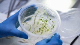 Sequencing 100,000 species to secure food supplies