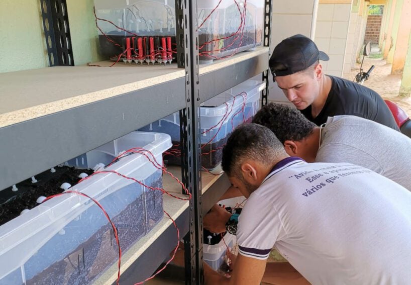 Courtesy of Bactery, from the pilot project in Brazil