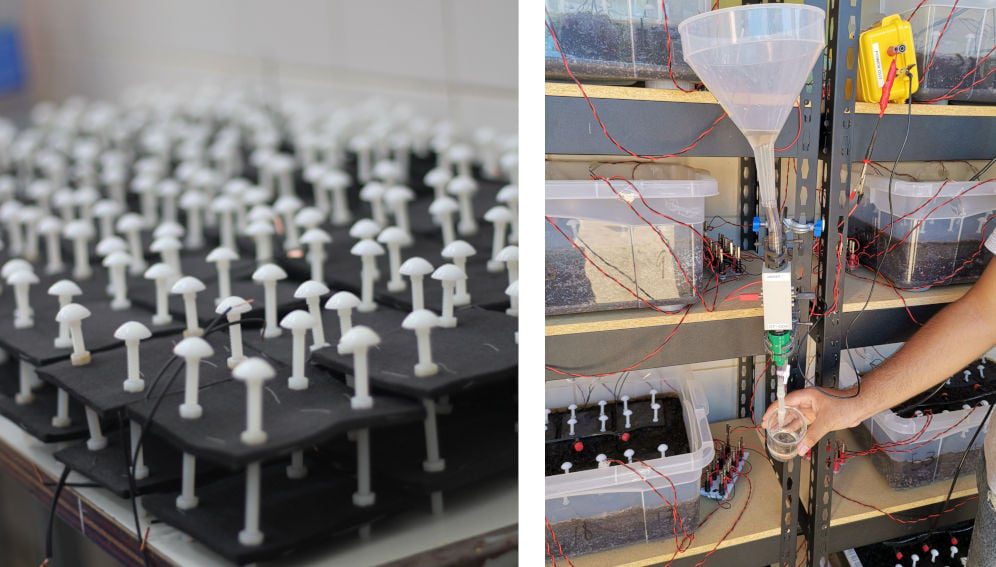 Soil BatteryCourtesy of Bactery, from the pilot project Brazil