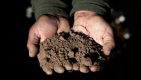 Q&A: Kerala taps microbe for health, farming gains