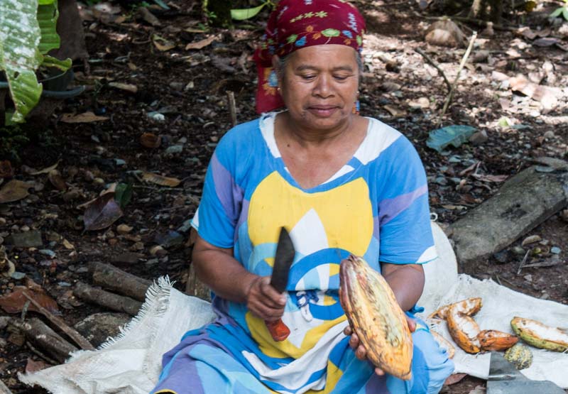 A farmer in sumatra spliting a Cocoa pod in Sumatra, Indonesia. Cocoa is an important cash crop for millions of smallholder farmers. Copyright: Carsten ten Brink (CC BY-NC-ND 2.0)