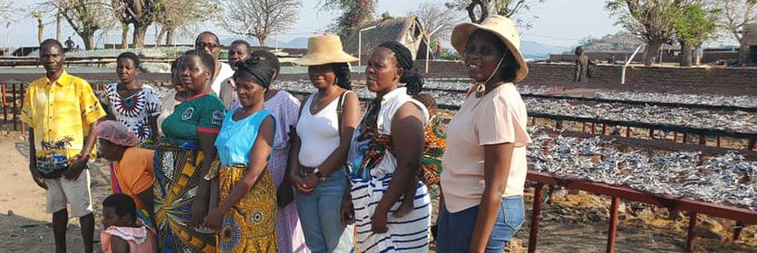 The_project_targets_women_and_youth_groups