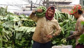 Progress still needed on food