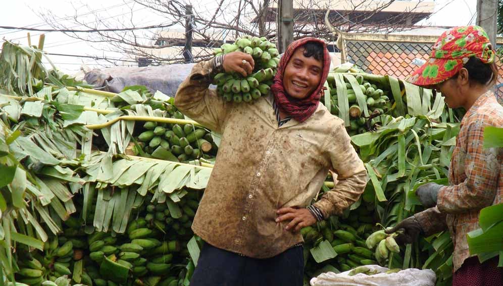 GlobalHort Image Library/ Imagetheque's photo, licensed as CC BY-NC 2.0