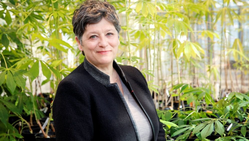 Valerie Verdier - main