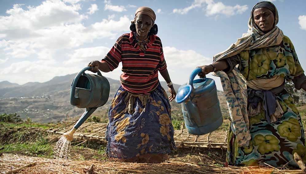 Women farmers watering land in Gemechis woreda-Ethiopia. ©FAO/ACCRA consortium