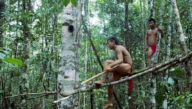 Q&A: ‘It is still possible to conserve the Amazon’