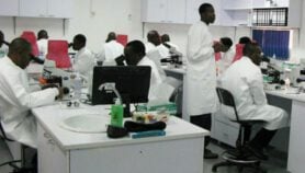 Q&A: A science advice network for francophone countries