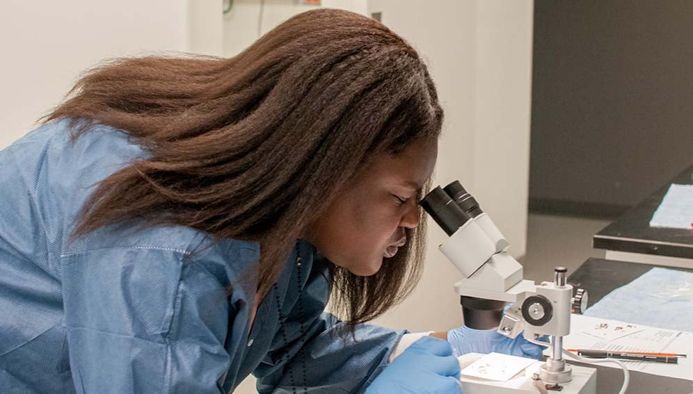 A HISTEP student checks the eye color or her fruit flies during a genetics experiment. NIH Image Gallery