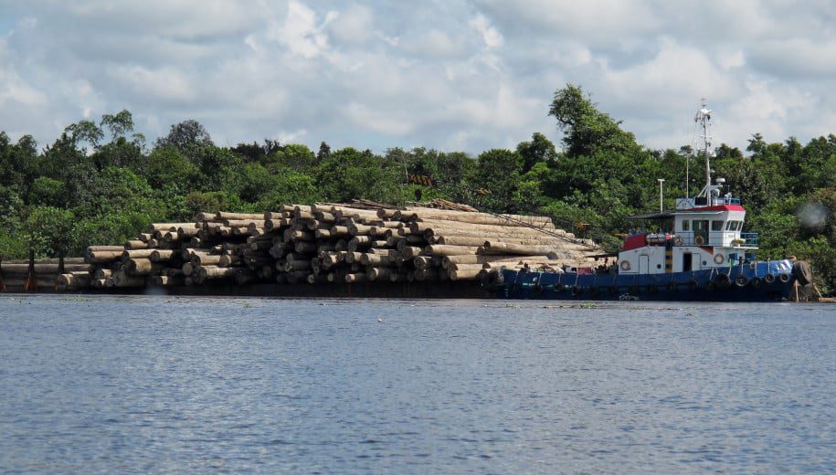 barge transporting logs - main barge transporting logs - main