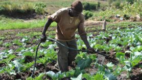 ‘Radical collaboration’ needed for climate adaptation