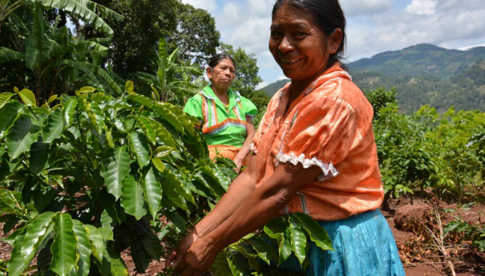climate smart farming